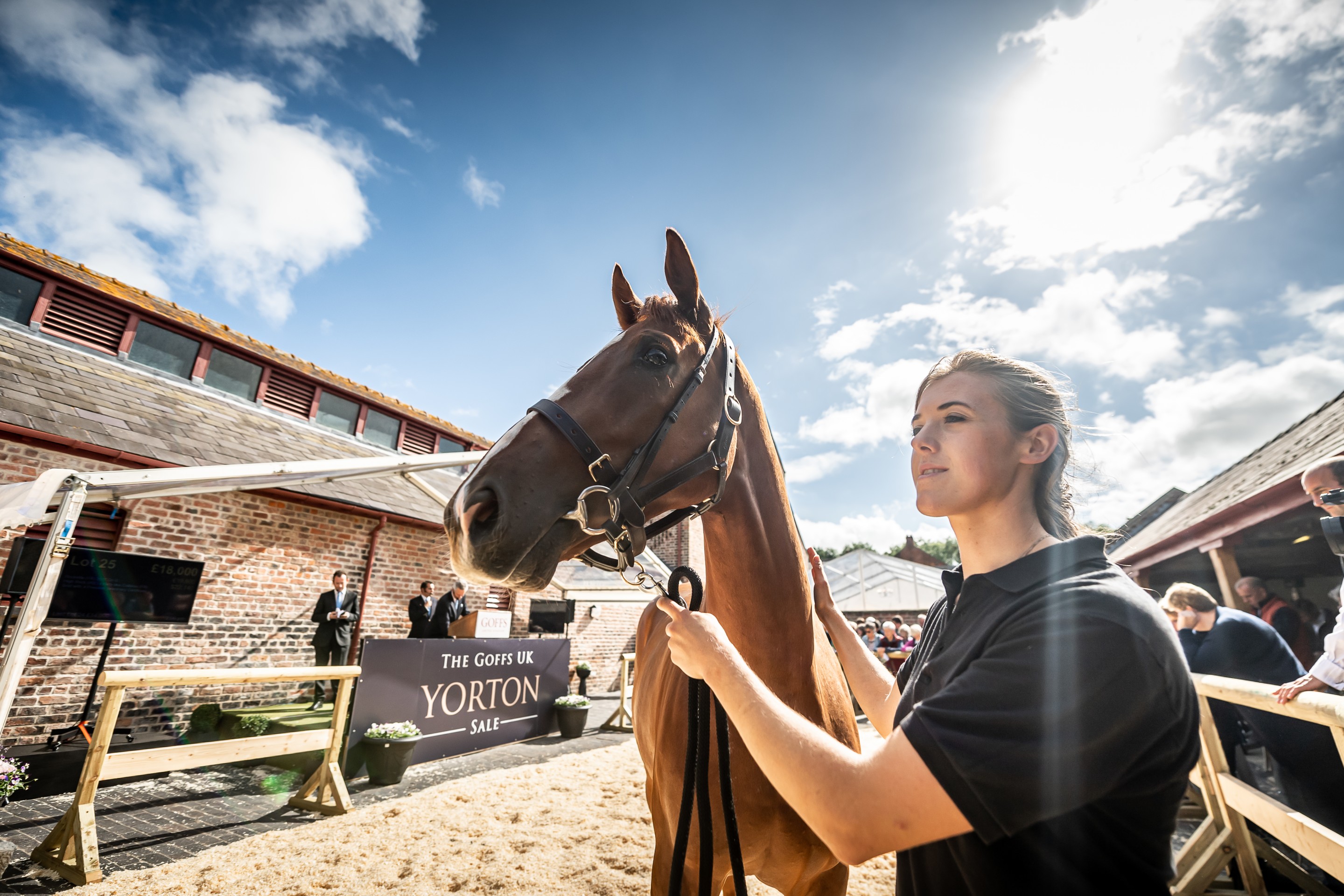 The Goffs Yorton Sale 2019